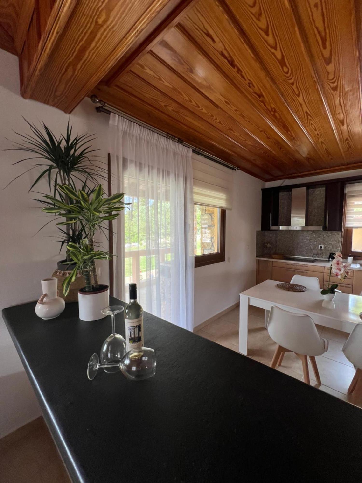 Verde Villas Paliouri Buitenkant foto